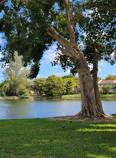 Keeping The Earth Green With Ceramic Cement